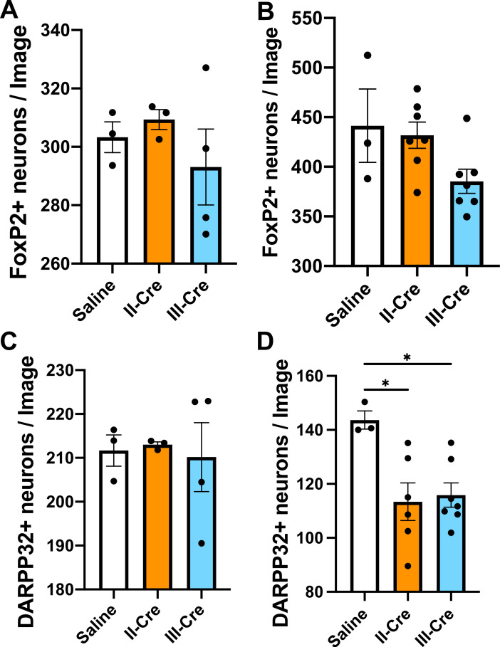 Figure 3—figure supplement 1.