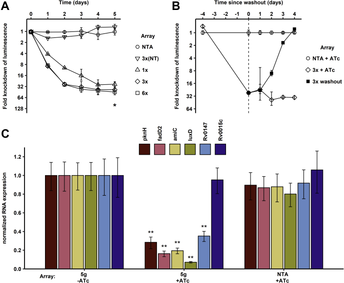 Figure 3