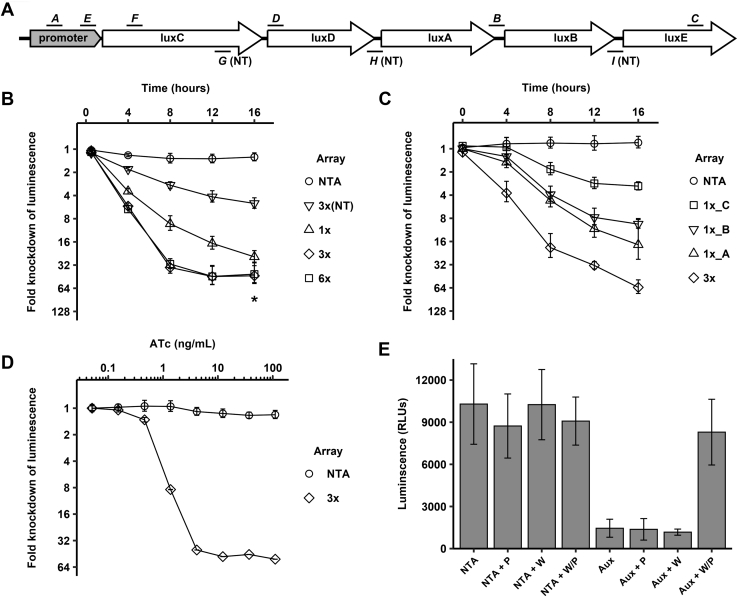 Figure 2