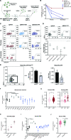 Figure 2. Independent hit knockout validation replicates pooled CRISPR-Cas9 screen dropout dynamics and identifies ELAVL1 as a top LSC dependency. A, Schematic illustrating the in vivo screen validation strategy. B, Percentage of H2B-GFP+ cells in the output graft as compared with the T0 input. sgAno9 is the negative control and darkening shades of blue correlate with increasing time in vivo before sgRNA dropout. C, Representative flow plots of RN2c cells sampled at each time point (T0, T10 primary, T10 secondary) are shown. D, Fold change (FC) of cKit+ fractions within H2B-GFP+ populations of BM samples with >5% H2B-GFP+ of Ly5.2+. E, Transcript expression of Elavl1 in LSC+ (cKithigh, top 25%) and LSC− (cKitneg) MLL-AF9 NrasG12D (RN2c) cells (left; flow sorting gates are shown) and MLL-AF9 cells (right). F, Levels of Elavl1 mRNA across various subpopulations of the mouse hematopoietic hierarchy, adapted from BloodSpot. Mature hematopoietic lineages, progenitor populations, and primitive populations are shown in blue, gray, and black, respectively. G, Human ELAVL1 expression in LSC+ and LSC− AML subfractions (27) and throughout CML disease stages (adapted from ref. 46 and www.oncomine.org) are shown in left and right, respectively. H, Expression of ELAVL1 in subpopulations of OCI-AML-8227 cell line. I, Transcript levels of ELAVL1 across sorted subfractions of the human BM hematopoietic hierarchy, adapted from BloodSpot (43). Mature hematopoietic lineages, progenitor populations, and primitive populations are shown in blue, gray, and black, respectively. J, ELAVL1 expression levels across paired diagnosis-relapse primary human AML samples. *, P< 0.05; **, P < 0.01; ***, P < 0.001; ****, P < 0.0001, as determined by a two-sided Student t test. Error bars, SEM.