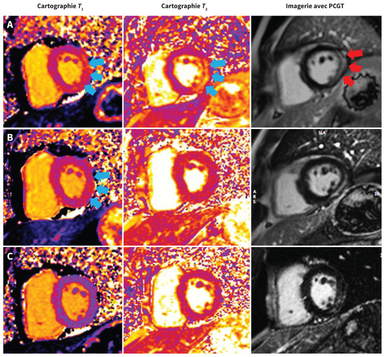 Figure 3: