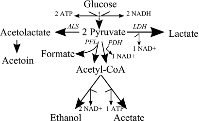 FIG. 2.