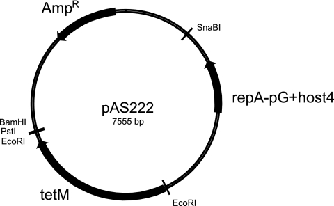 FIG. 1.