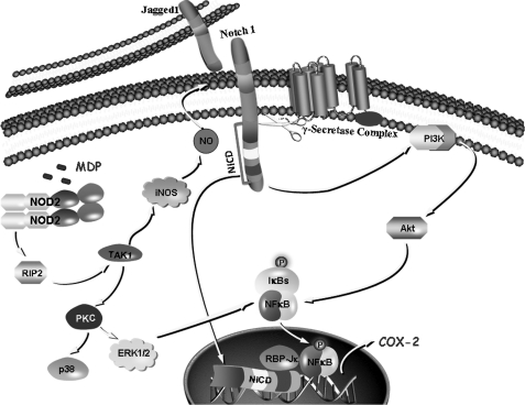 FIGURE 9.