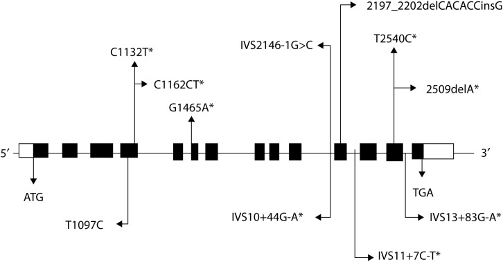 Figure 7. 