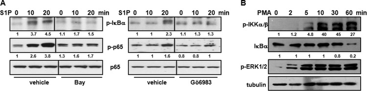 FIG 5