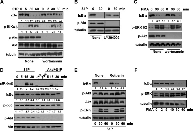 FIG 8