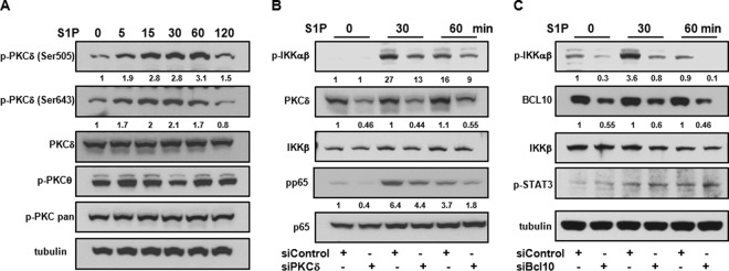 FIG 6