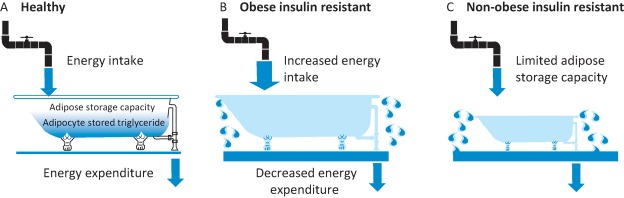 Fig 4.