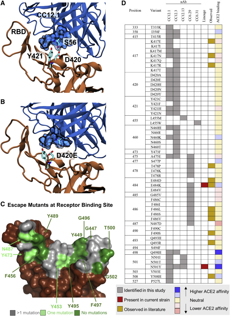 Figure 4