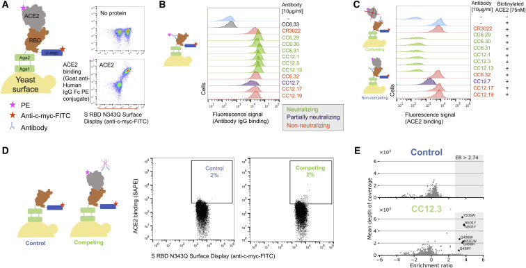 Figure 1