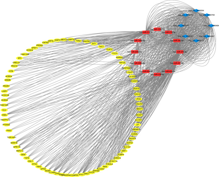 FIGURE 5