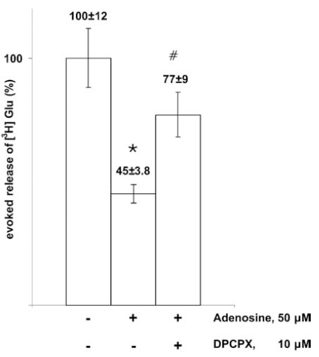 Fig. (2)