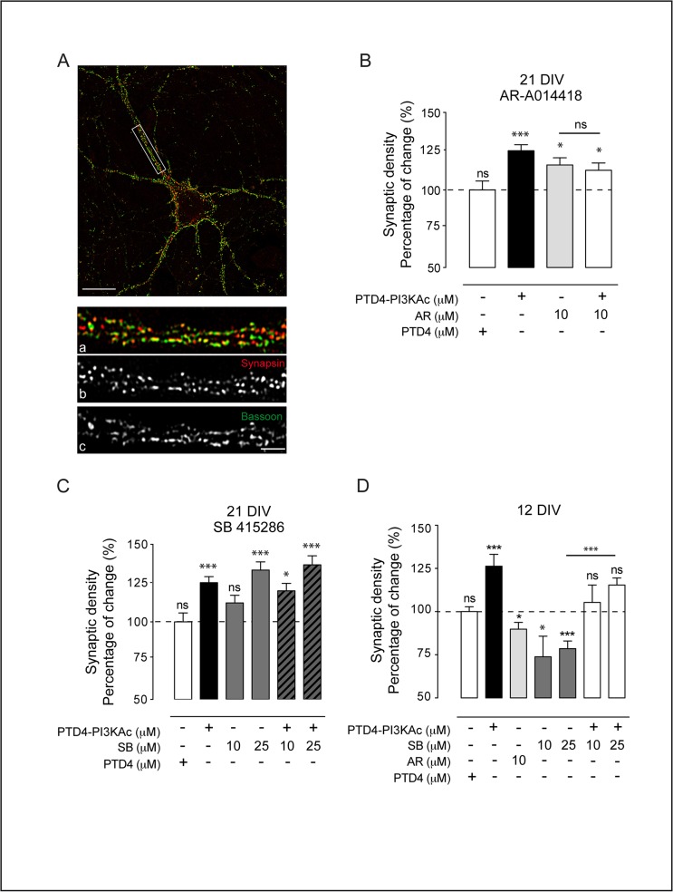 Fig 6