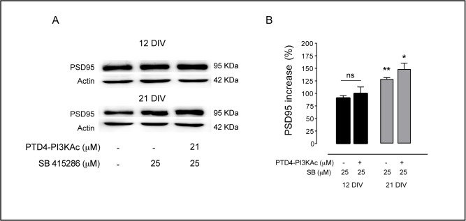 Fig 8