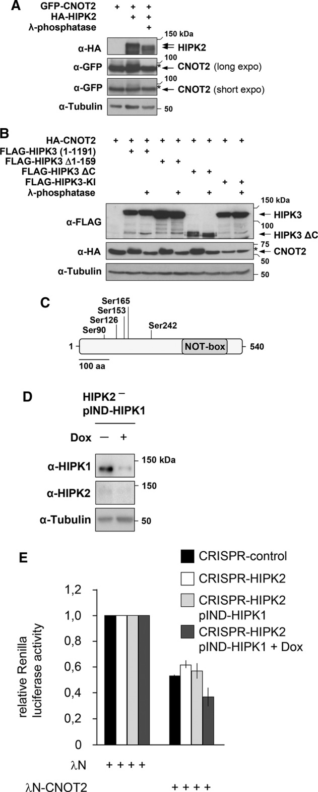 FIGURE 7: