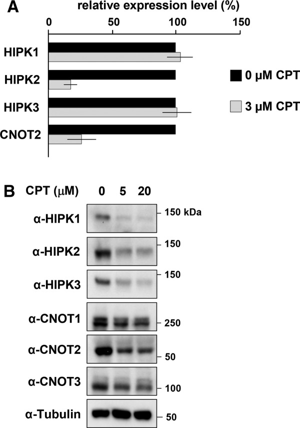 FIGURE 5: