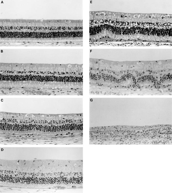 Figure 4  