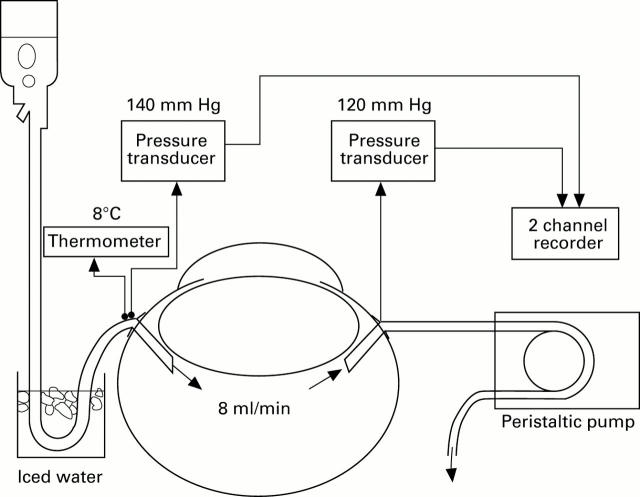 Figure 1  