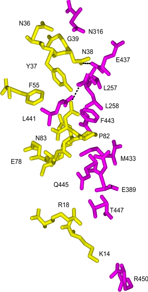 Fig. 2.