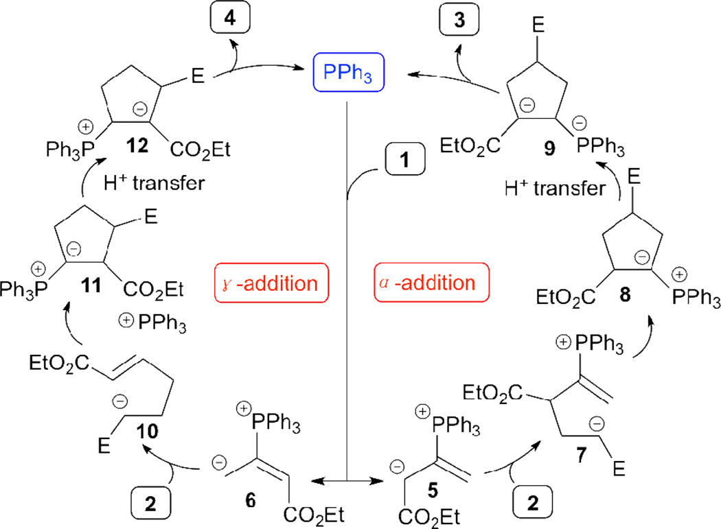 Scheme 2