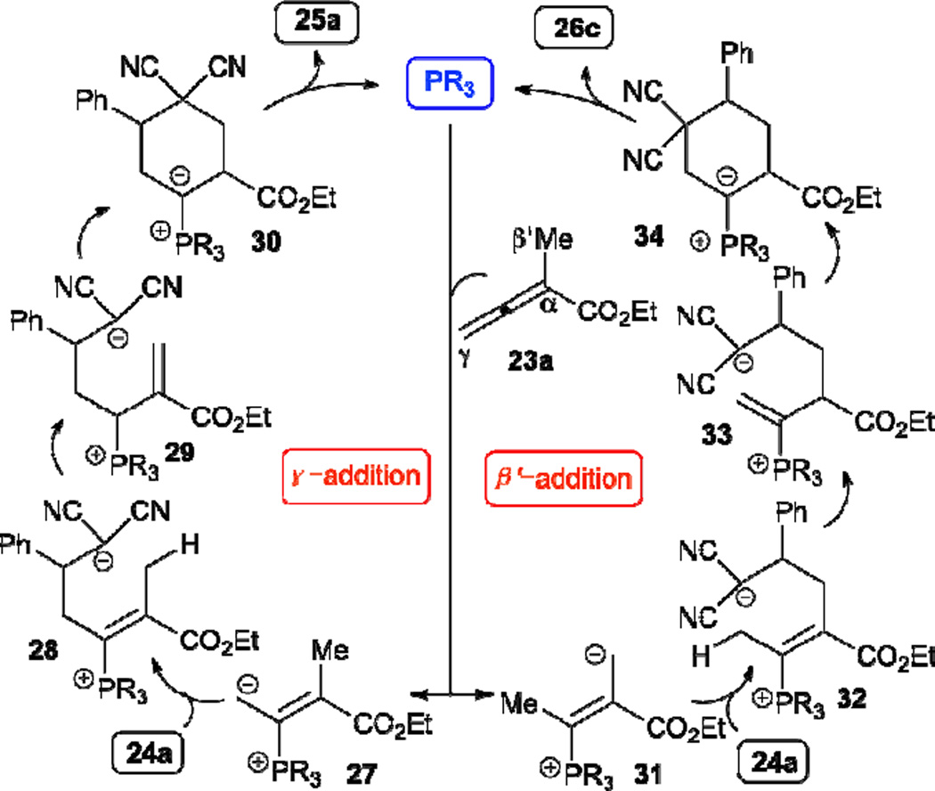 Scheme 5