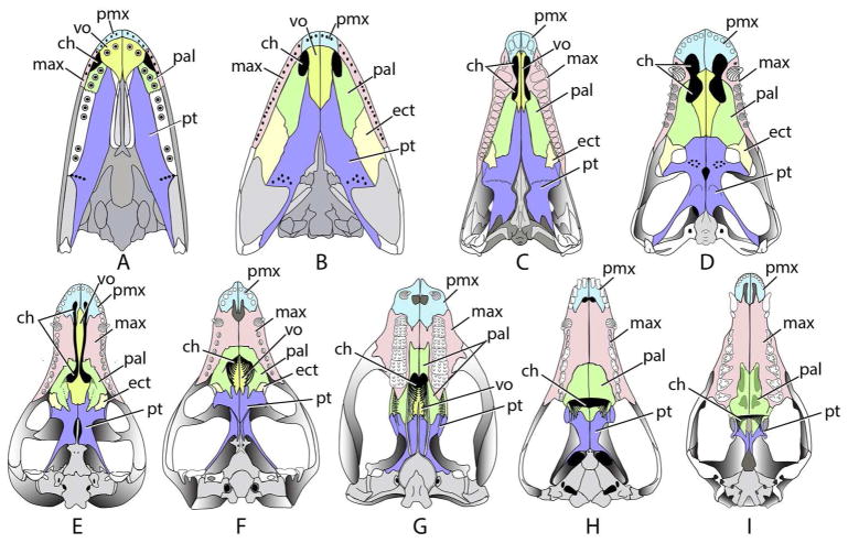 Figure 7