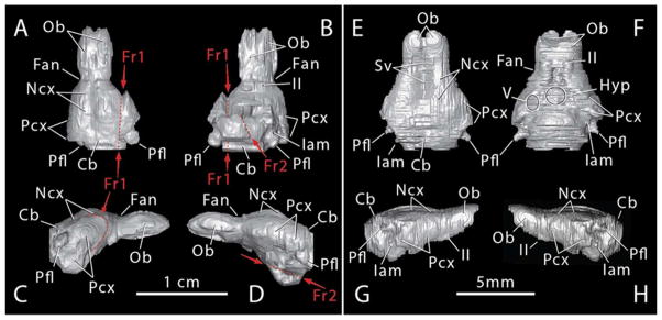 Figure 9