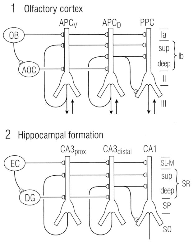 Fig. 12