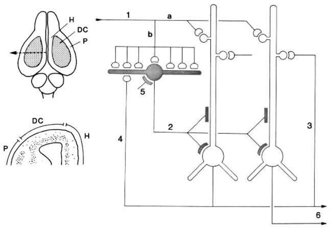 Fig. 13