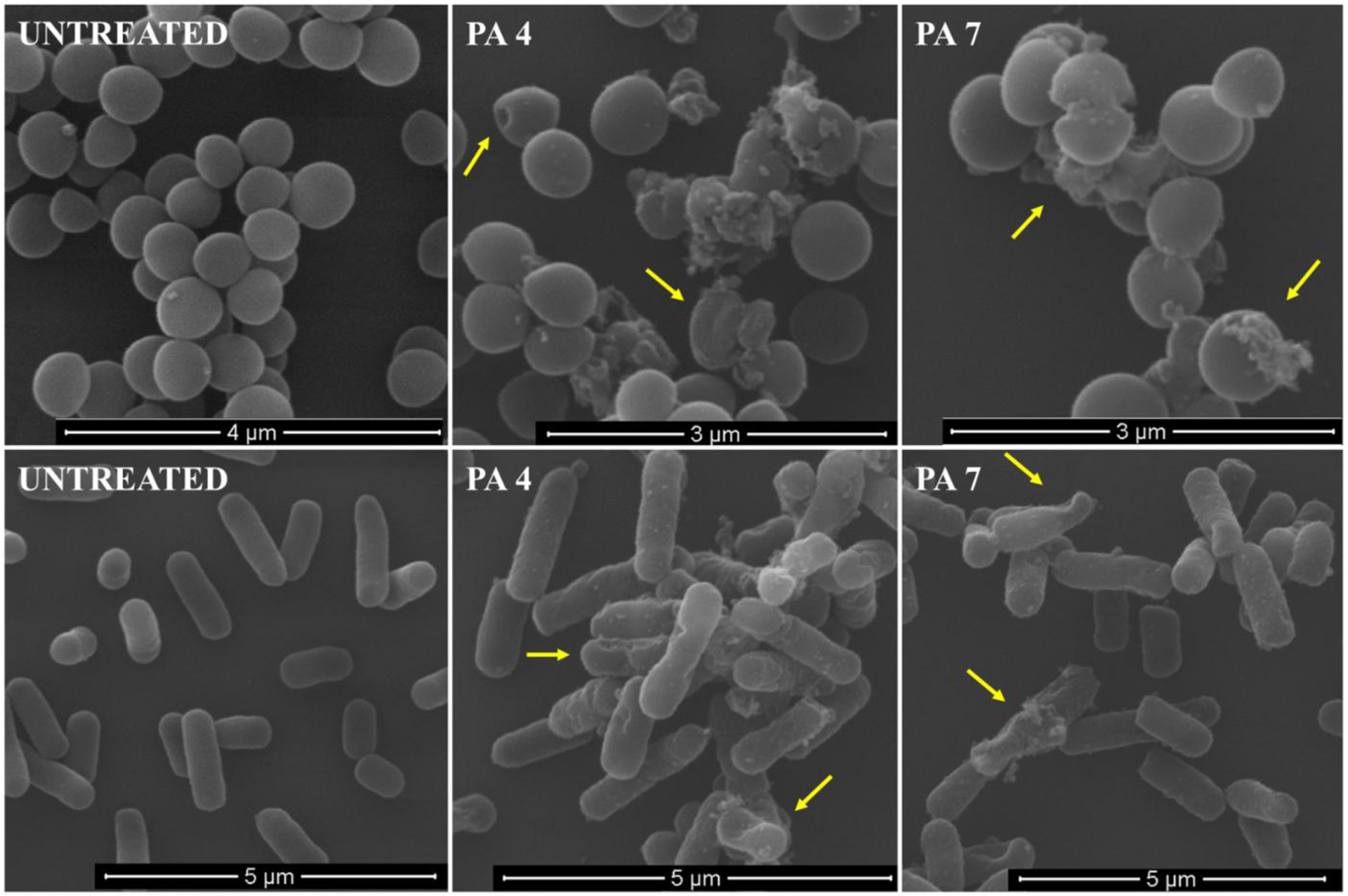 Figure 3: