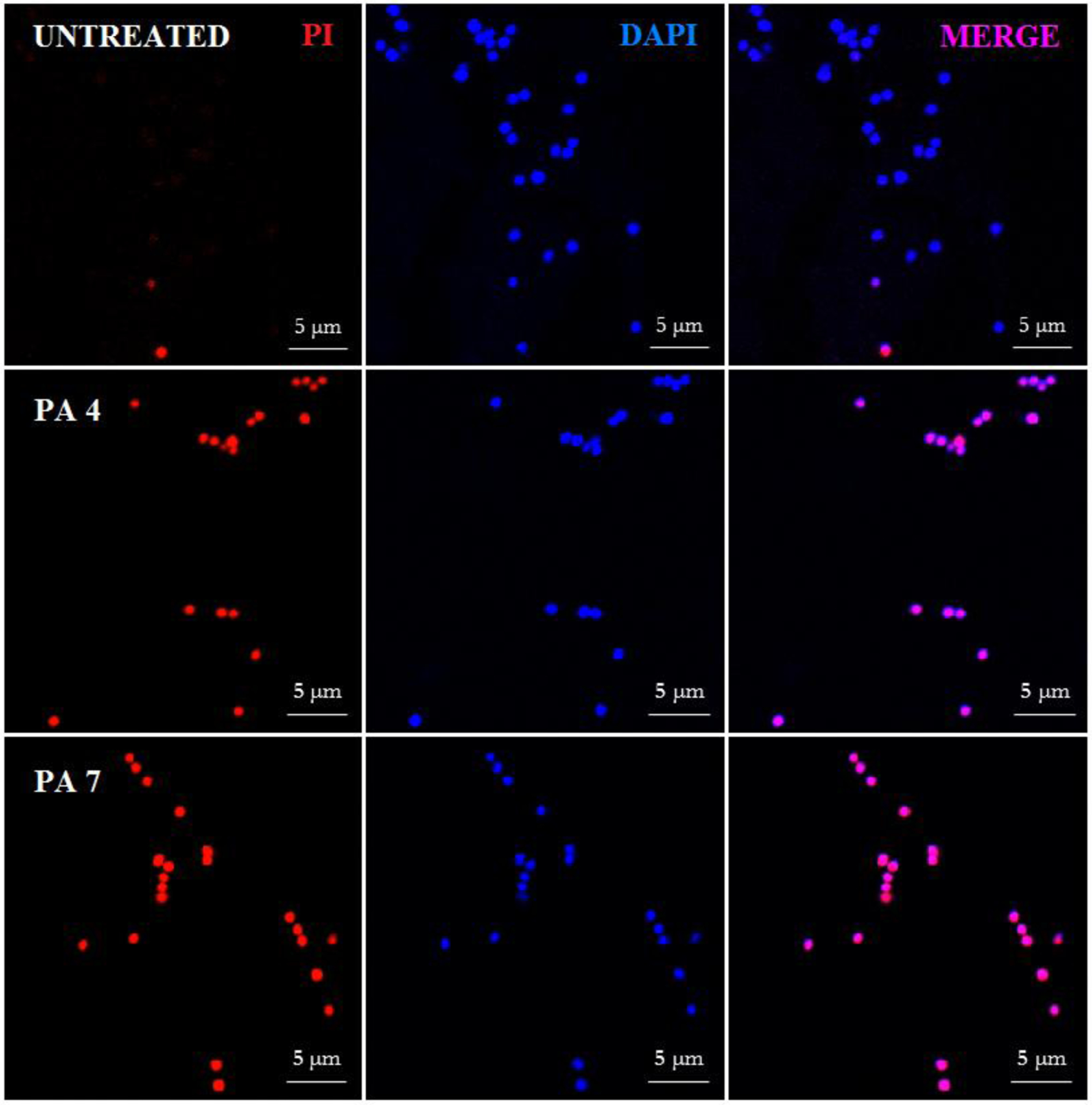 Figure 4: