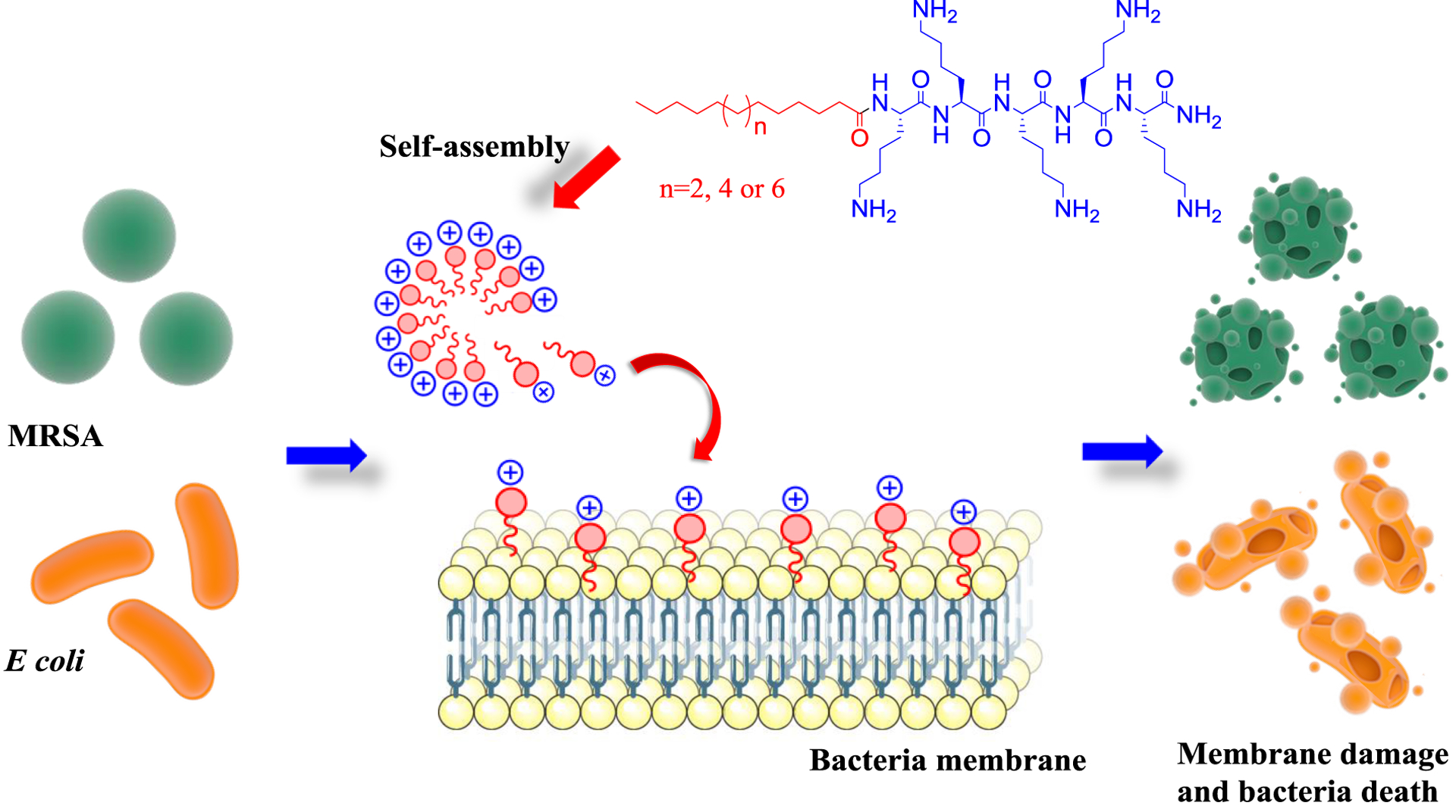 Figure 7: