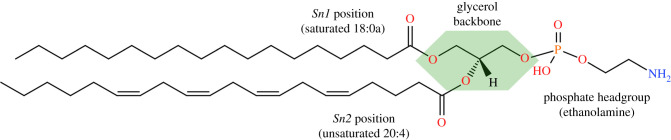 Figure 2. 