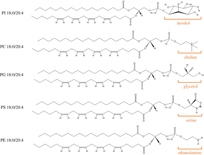 Figure 3. 