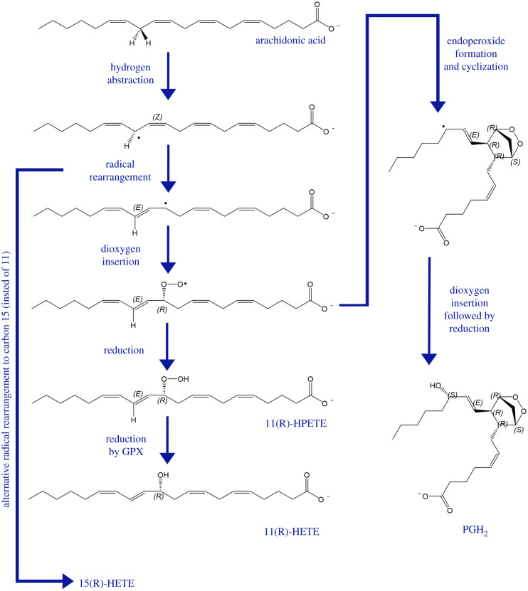 Figure 7. 