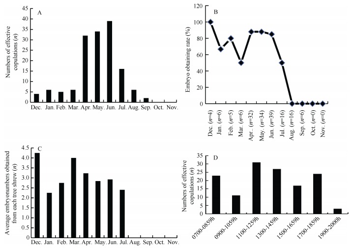 A: Seasonal distribution of effective copulations; B: Seasonal distribution of embryo obtaining rate; C: Average monthly embryo yield of each tree shrew; D: Day time distribution of copulations.