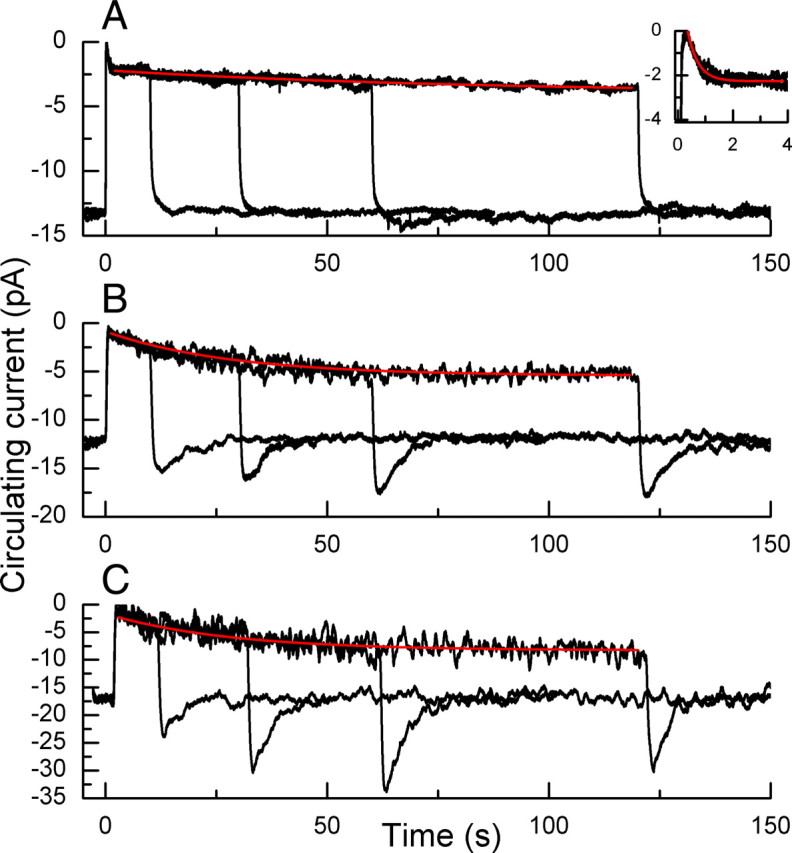 Figure 5.