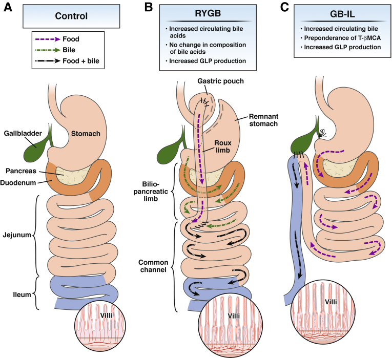 Figure 1