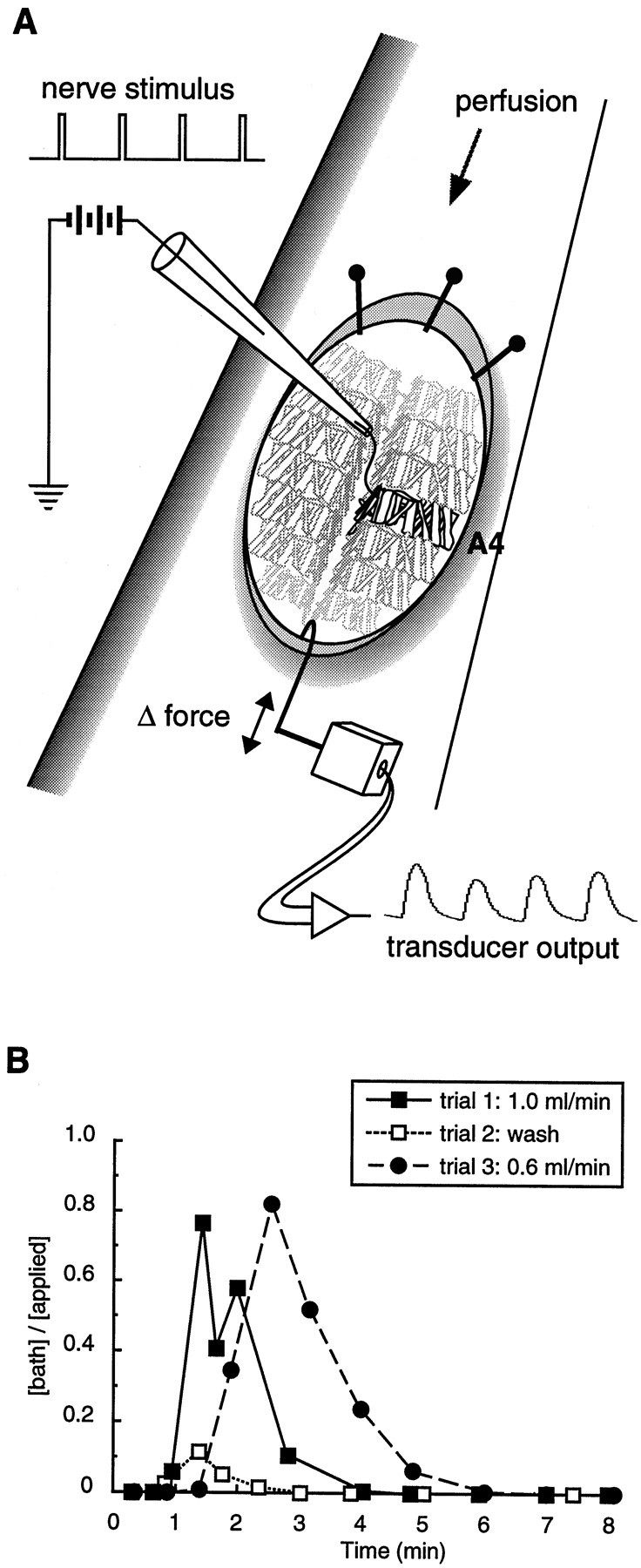 Fig. 2.