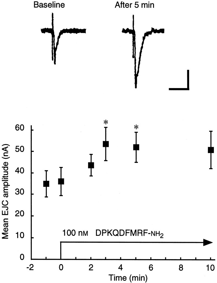 Fig. 10.