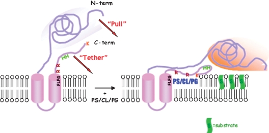 Fig. 3.