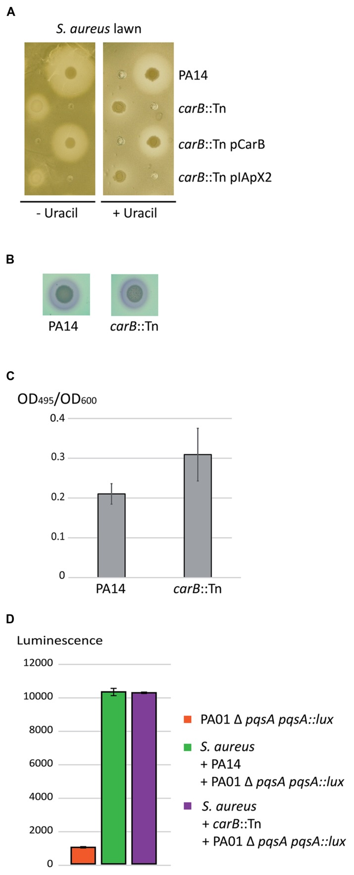 FIGURE 3