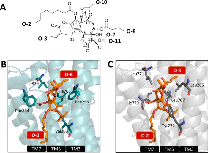 Figure 4.