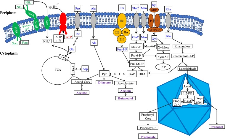 FIG 4