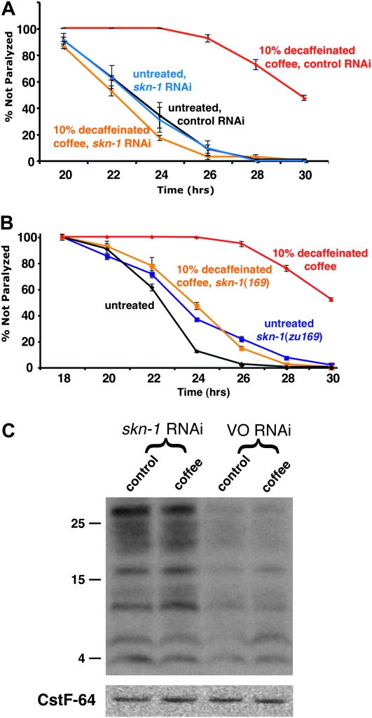 Figure 5.—