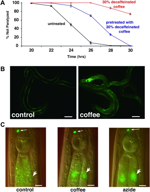 Figure 4.—