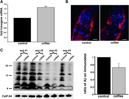 Figure 3.—