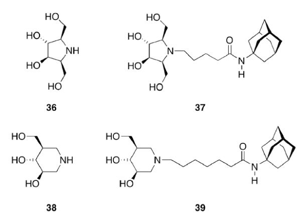 Scheme 6