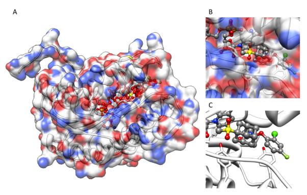 Figure 6